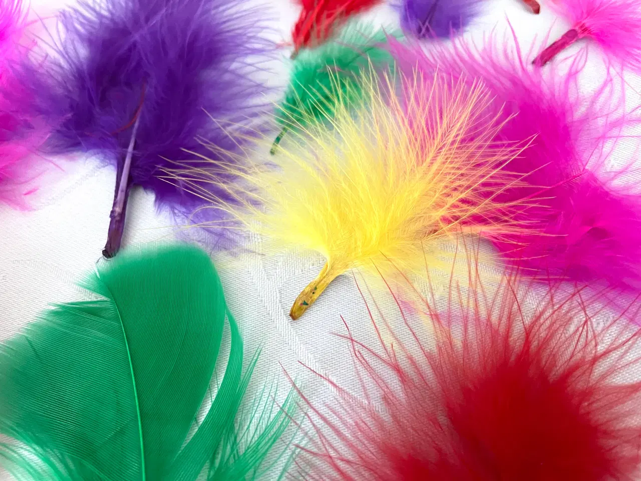 Billede 6 - Blandet fjer 