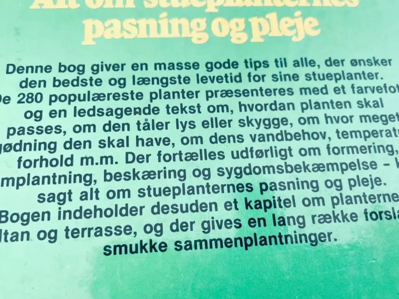 Billede 10 - Stueplanter bo bedre 