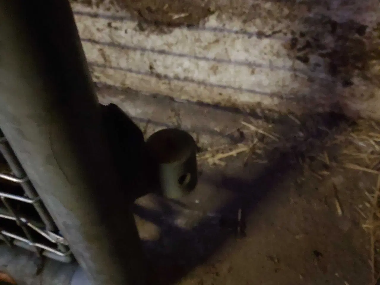 Billede 3 - Gitter port