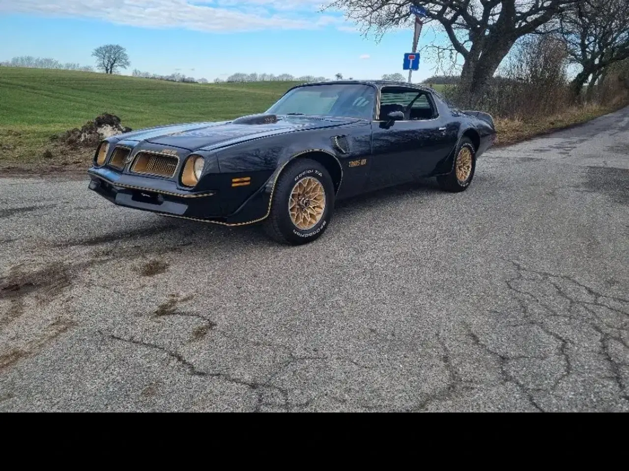 Billede 7 - Pontiac trans am