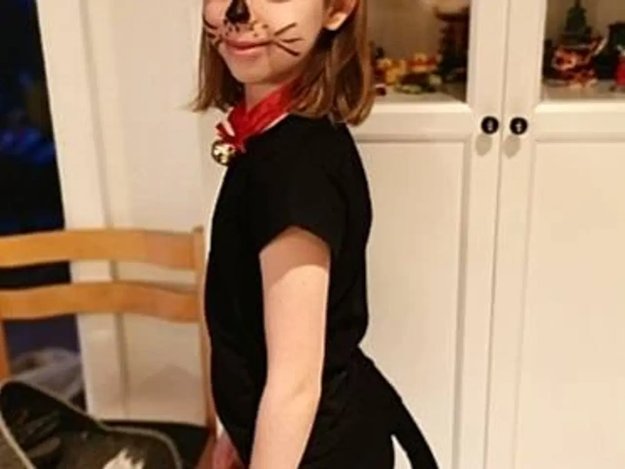 Billede 5 - Katte-udklædning (kattehale og hårbøjle med øre)