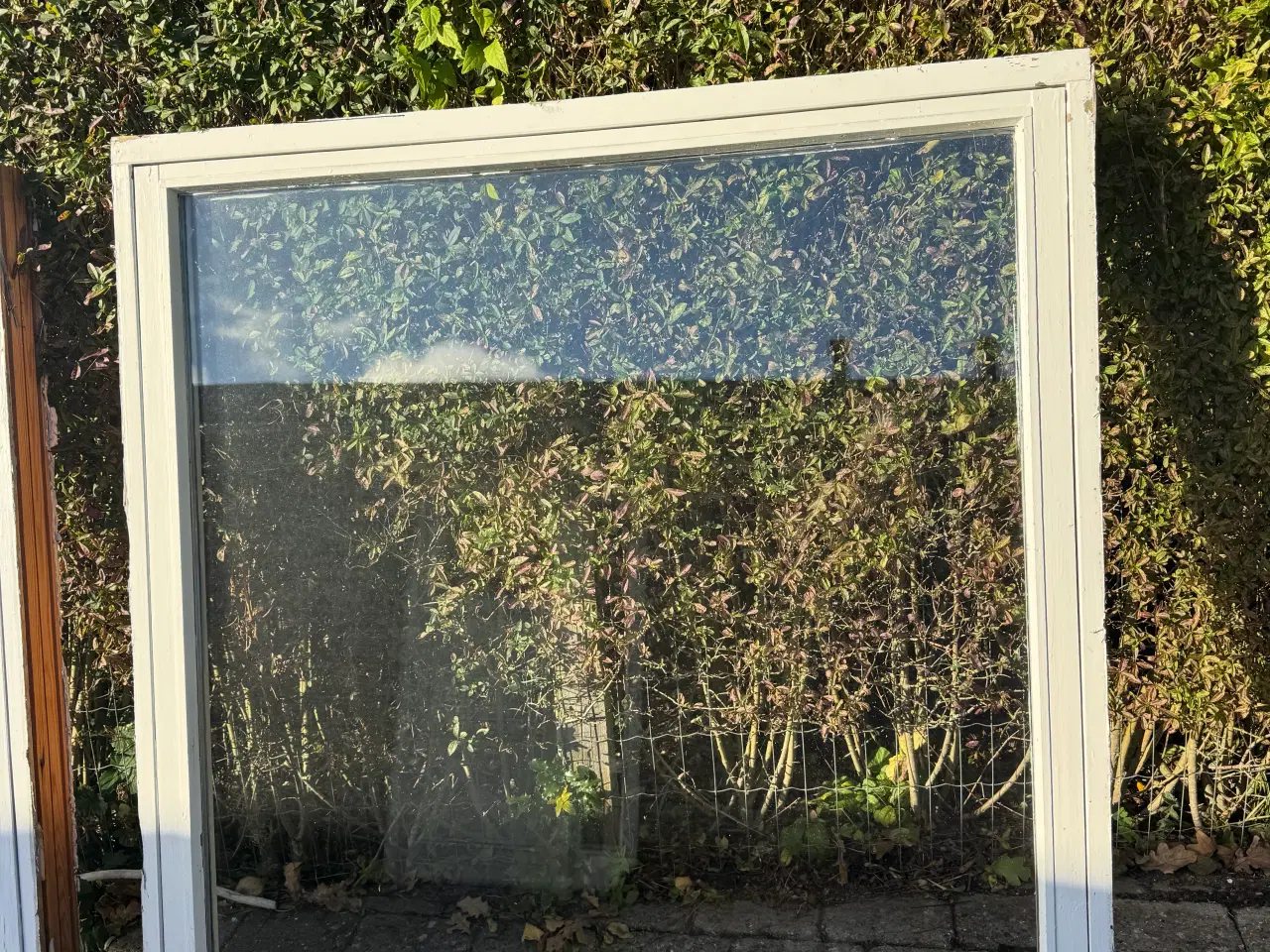 Billede 2 - Vinduer 131x132
