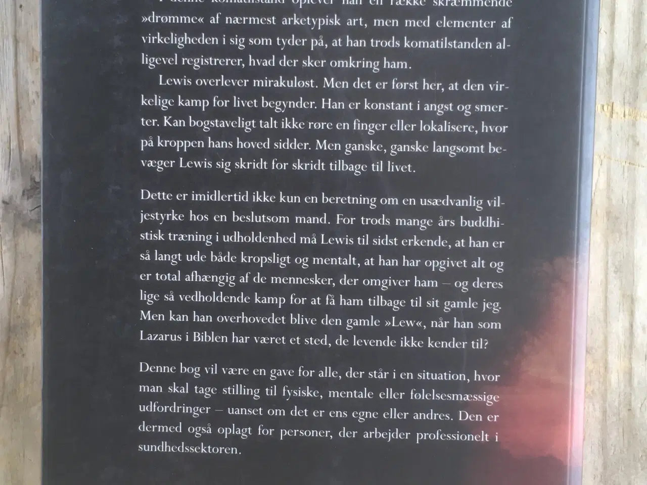 Billede 2 - I Lazarus' fodspor, Lewis Richmond 
