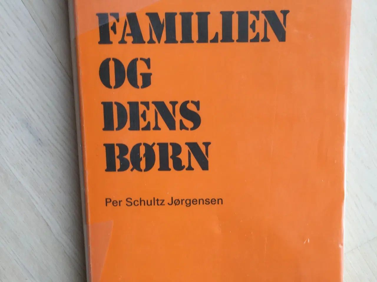 Billede 1 - Forbrugsfamilien og dens børn