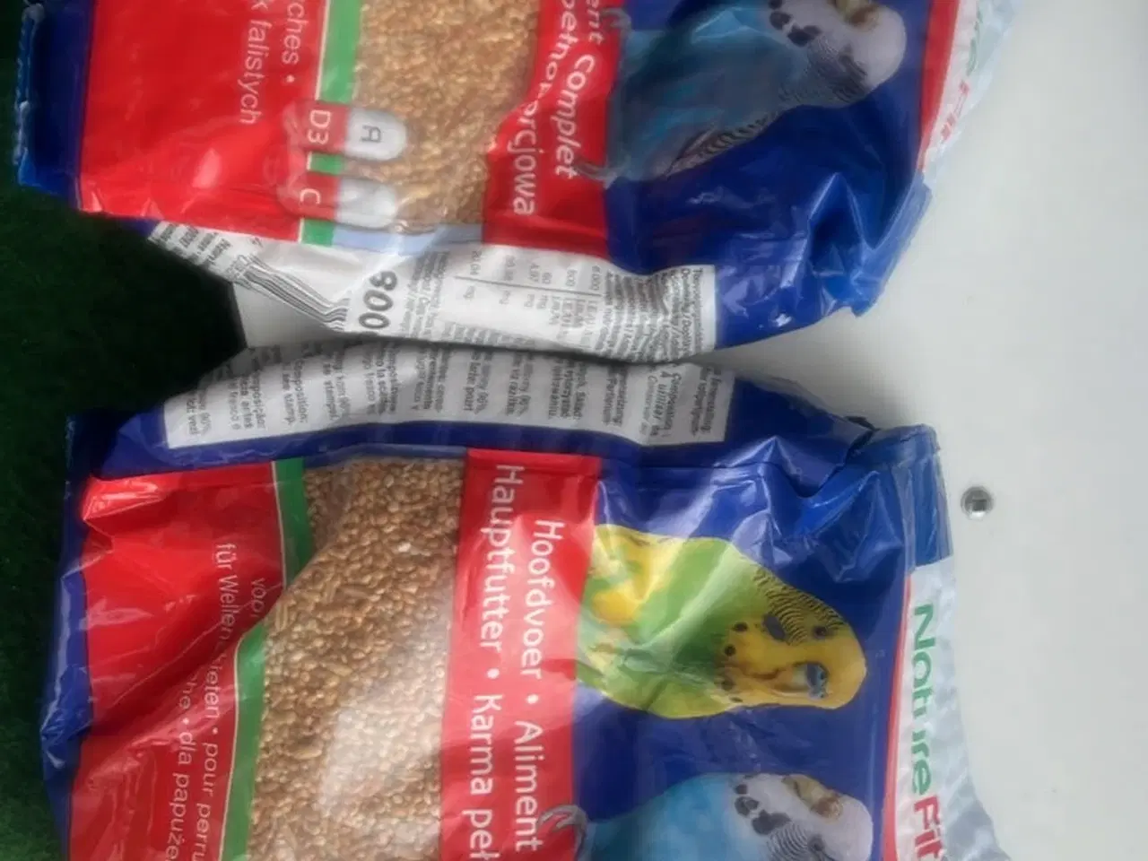 Billede 3 - 3 små undulater 