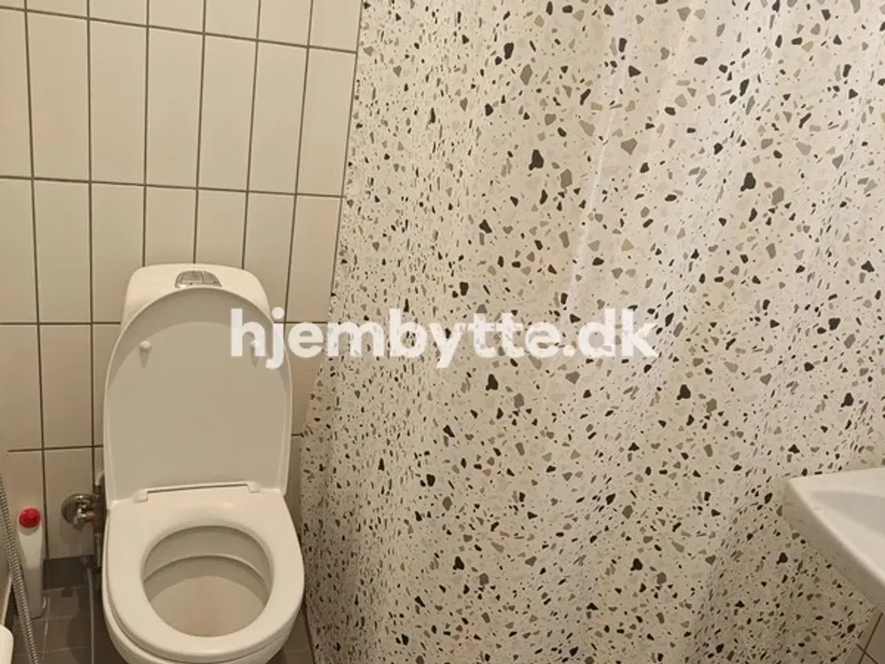Billede 8 - Hjembytte - Tingvej