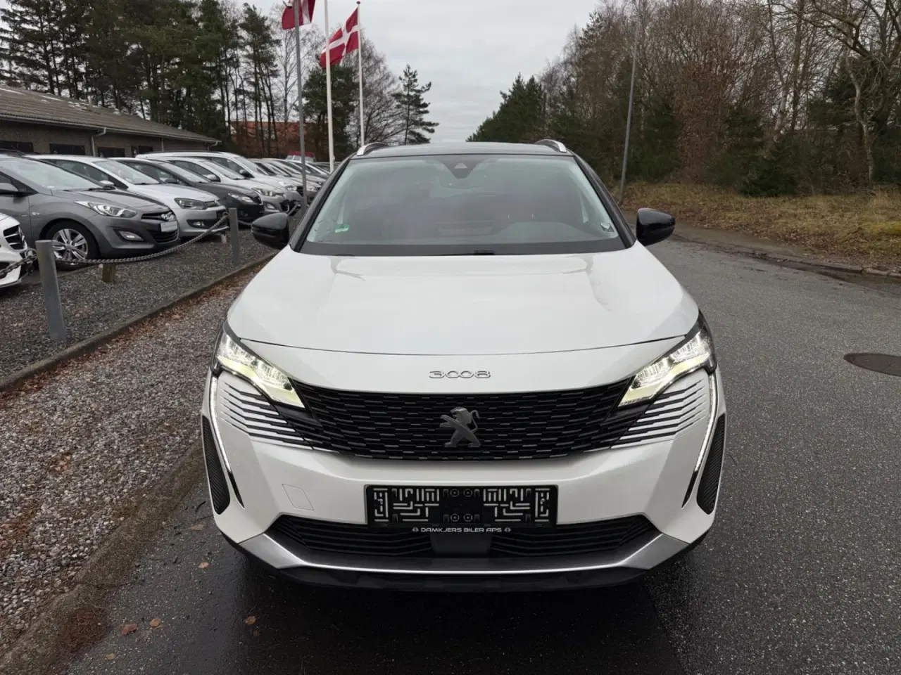 Billede 3 - Peugeot 3008 1,6 Hybrid4 Allure Pack LTD EAT8