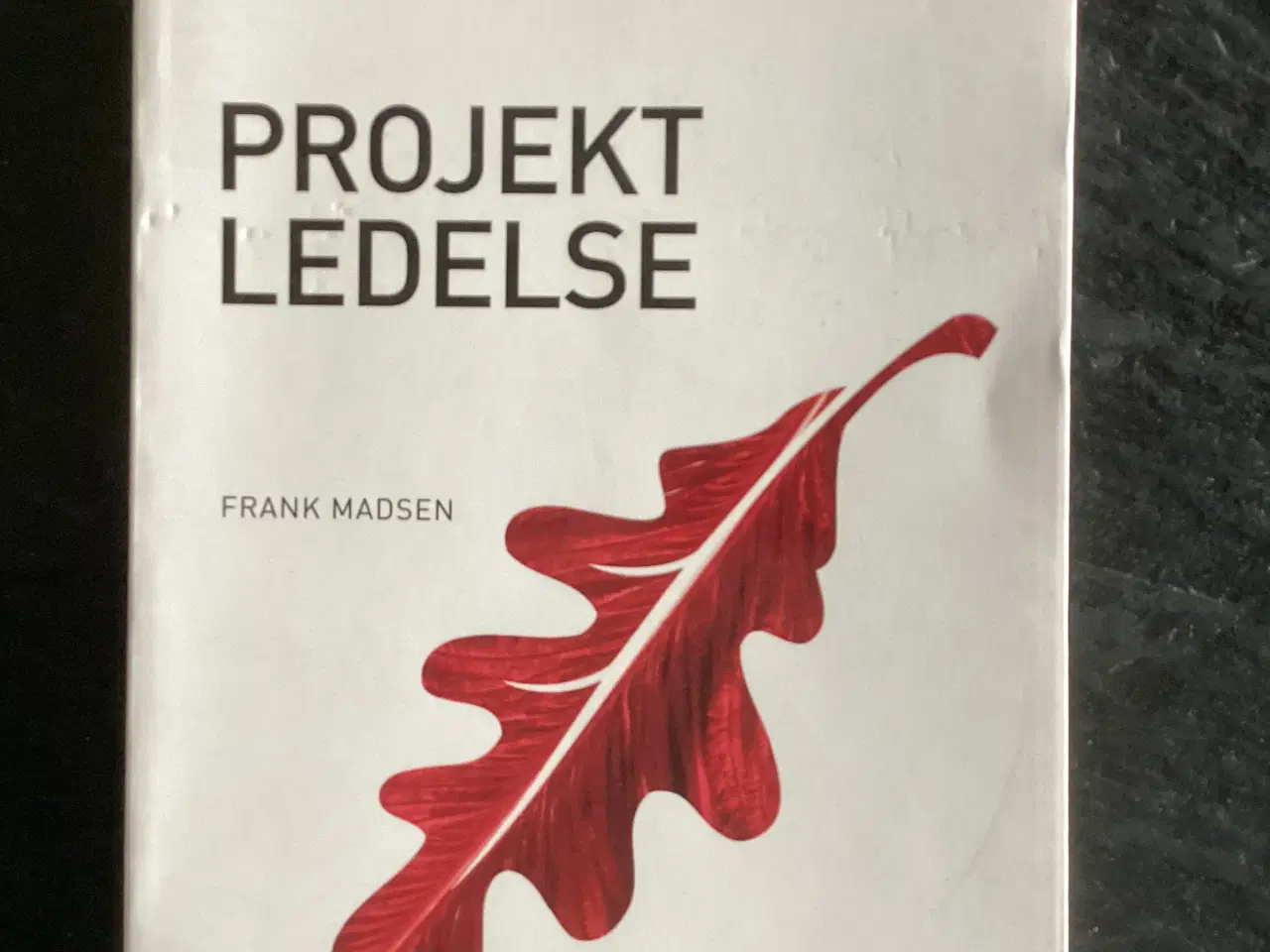 Billede 1 - Projektledelse