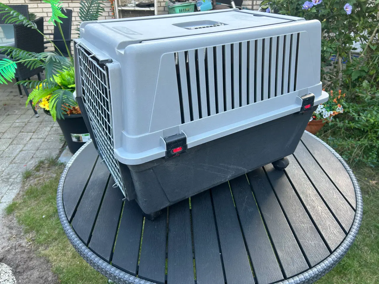 Billede 3 - Transportkasse til Hund / Kat