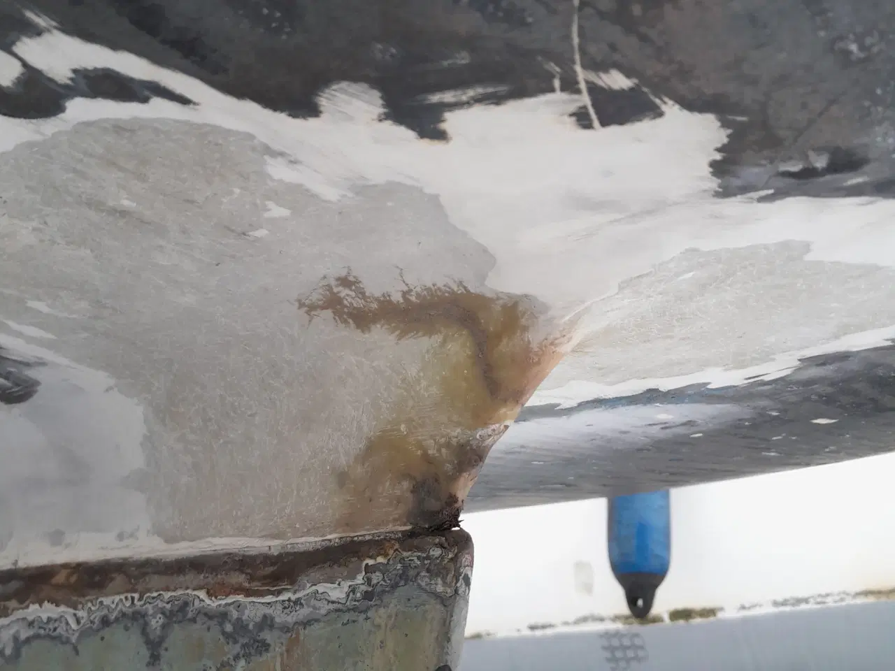 Billede 13 - Maxi Fenix Classic 