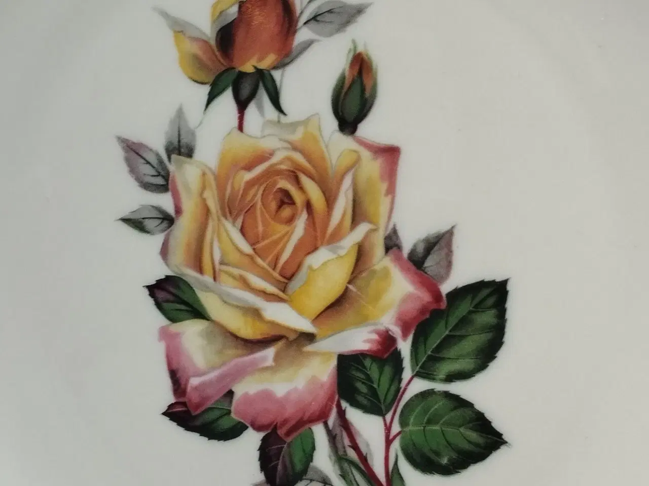 Billede 5 - Winterling Roslau Bavaria vintage porcelæn tesæt