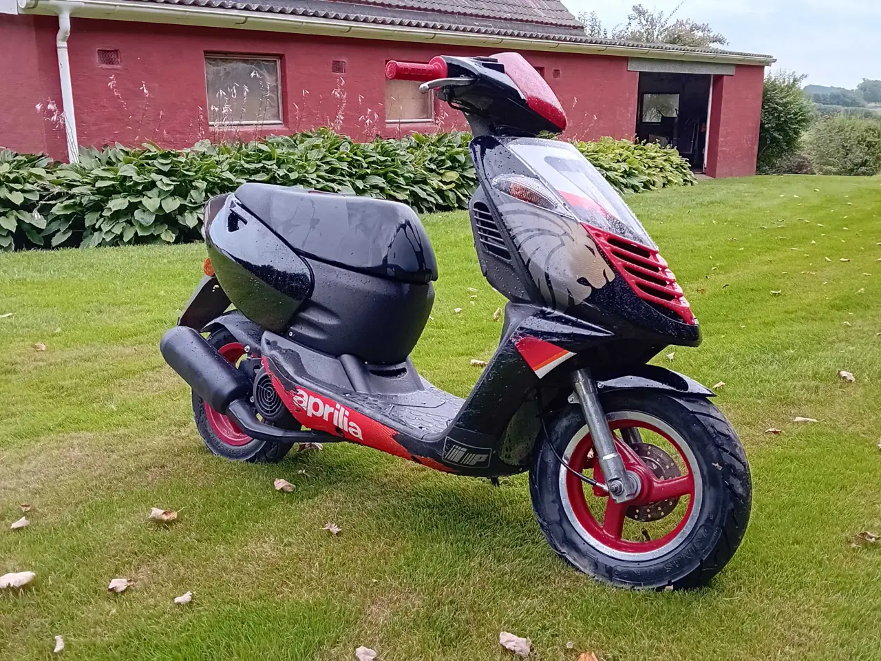 Billede 2 - Aprilia sonic