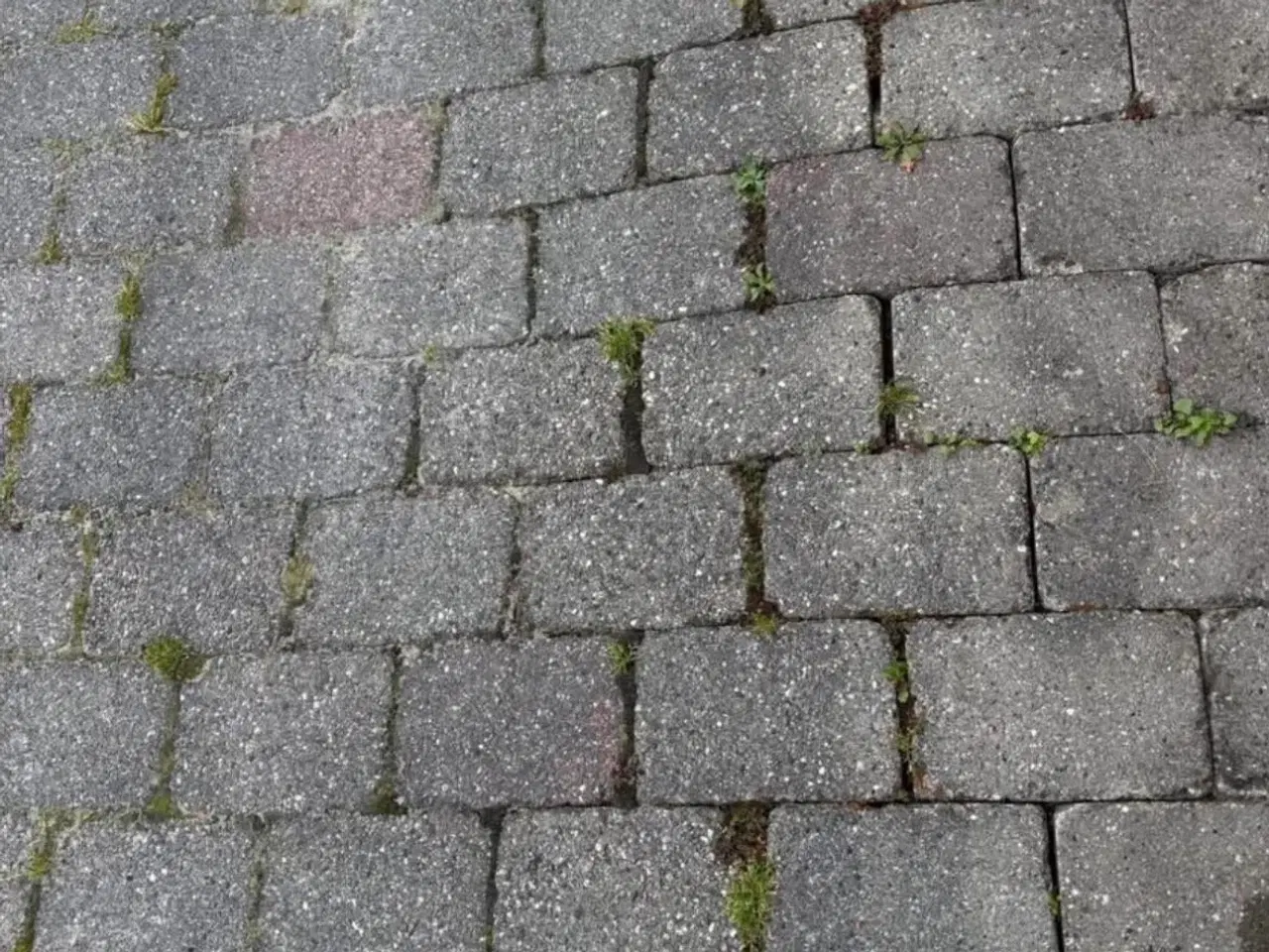 Billede 1 - Belægning sten