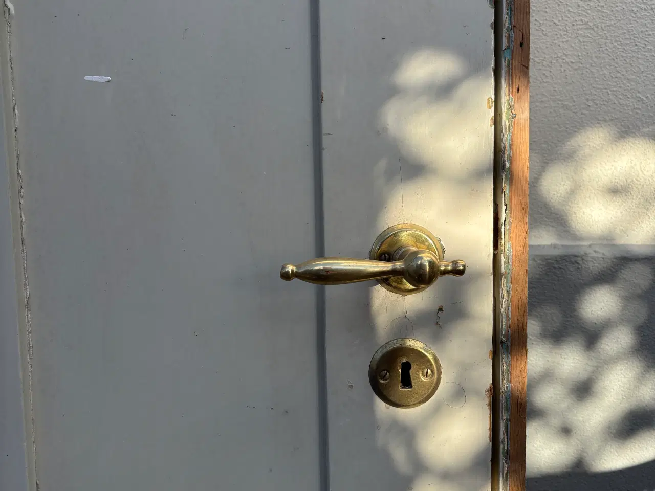 Billede 5 - Fin gammel dør med fyldninger