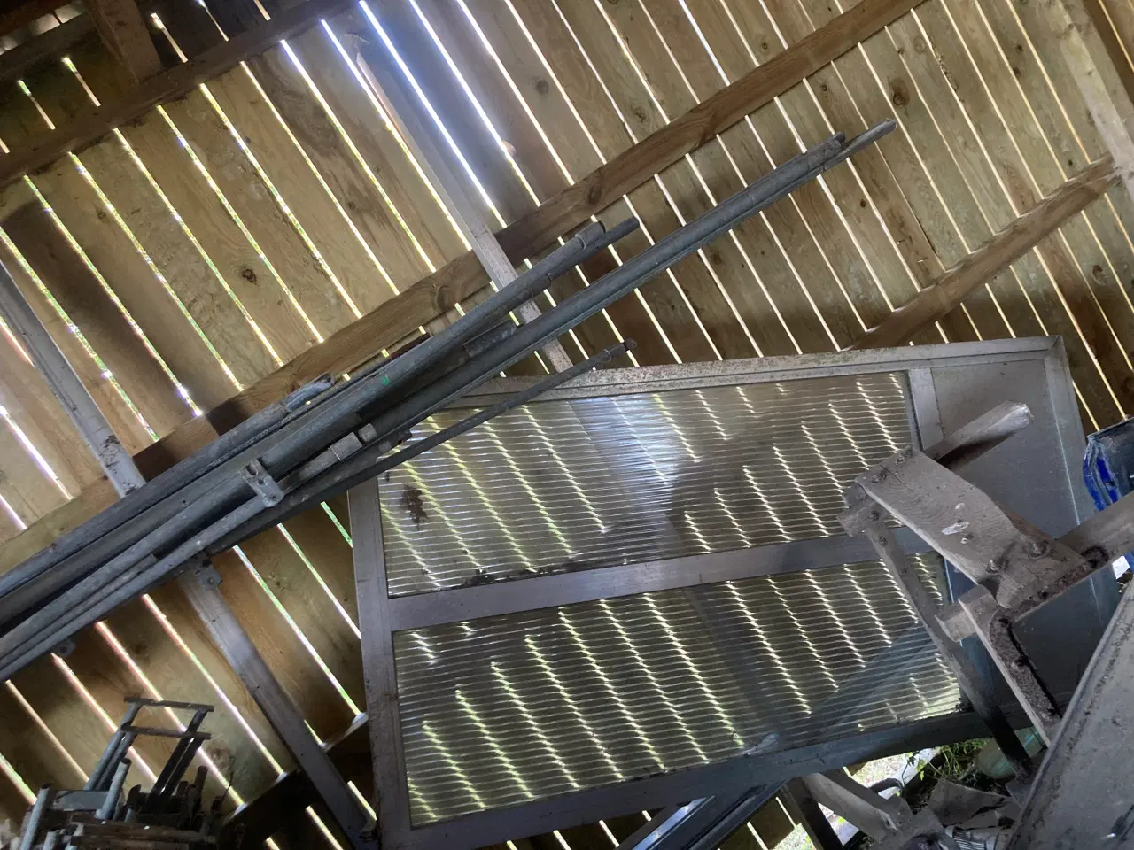 Billede 4 - Tunneldrivhus 