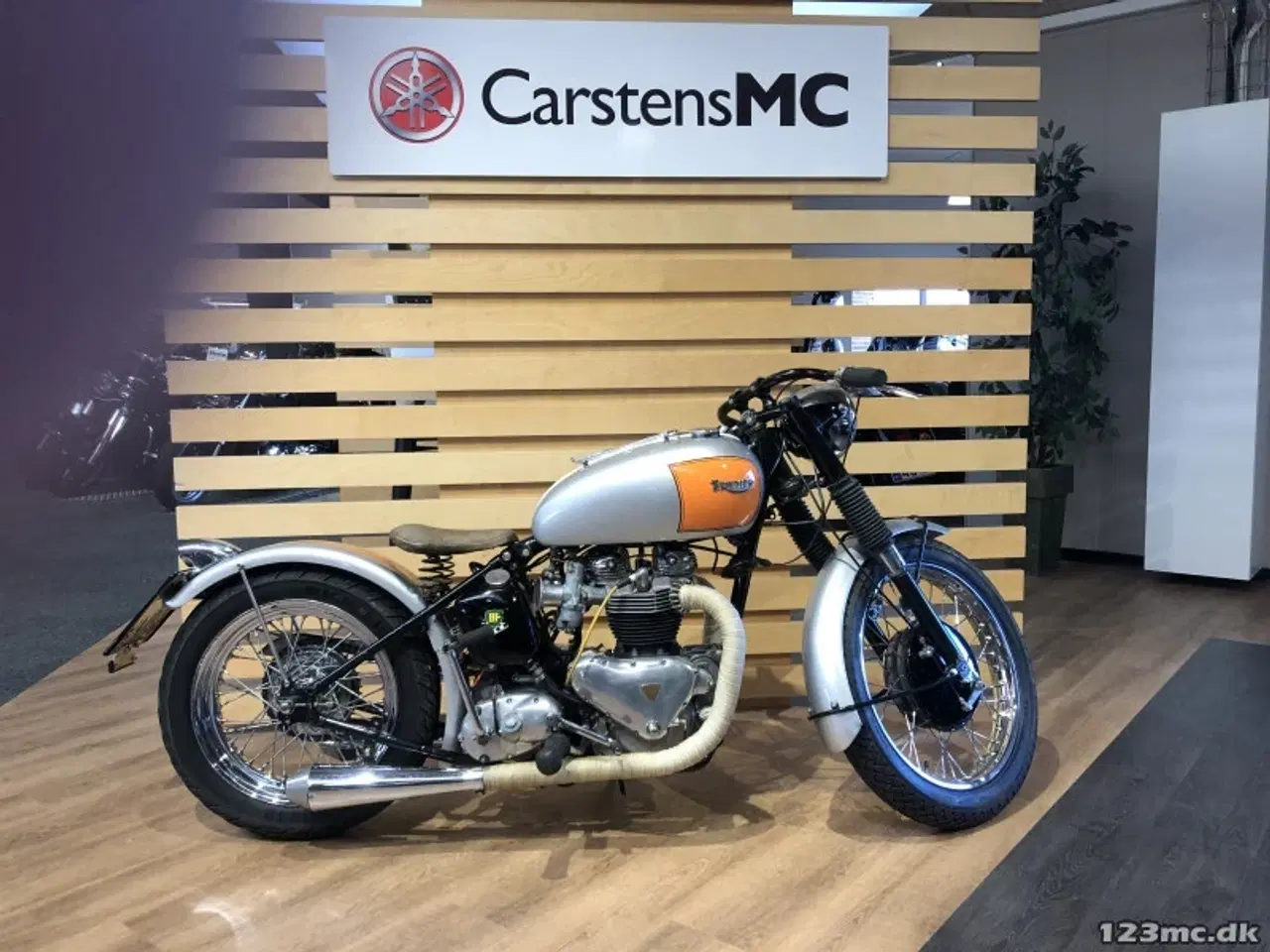 Billede 1 - Triumph T 100
