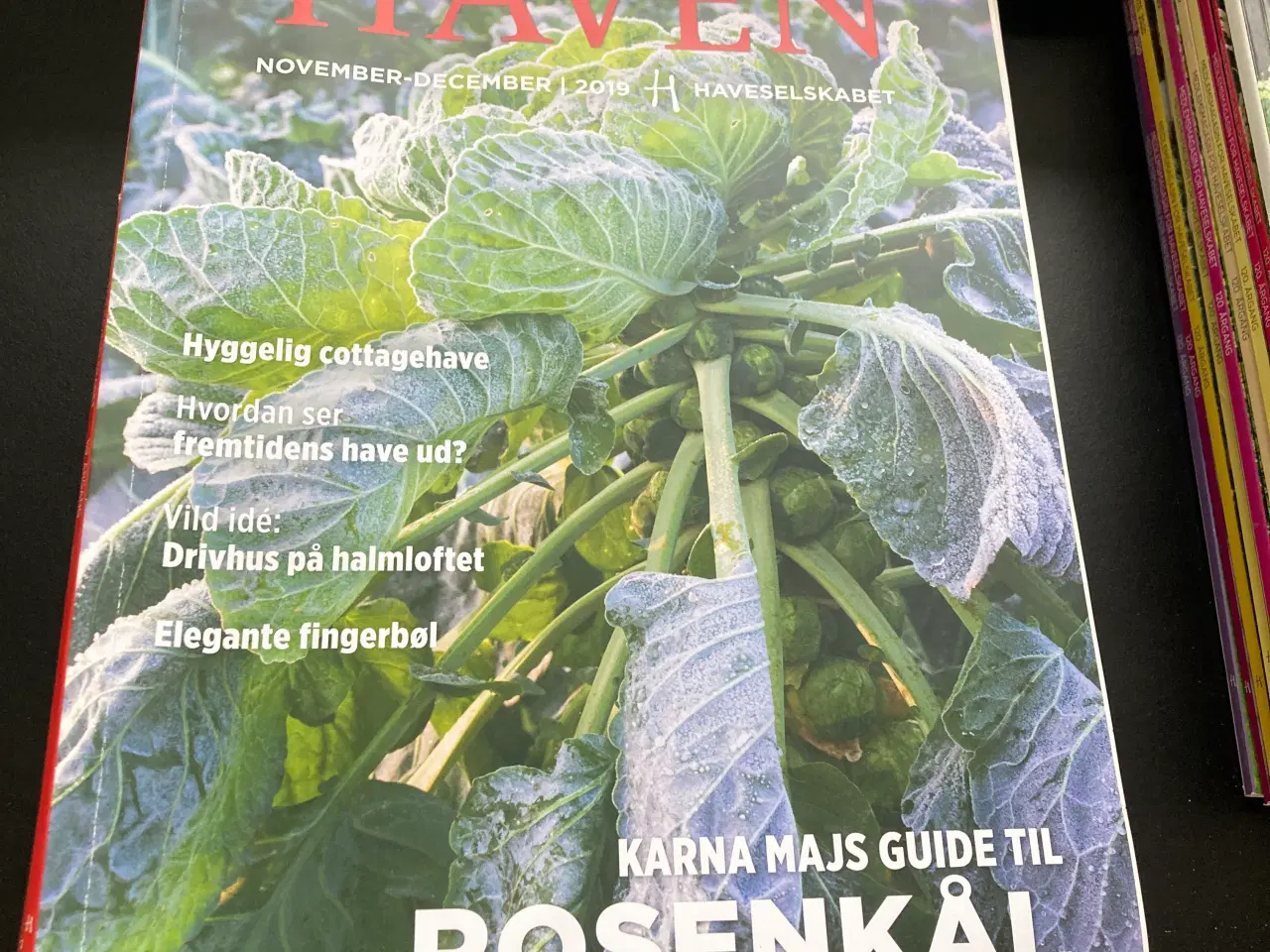 Billede 1 - Haven have blad