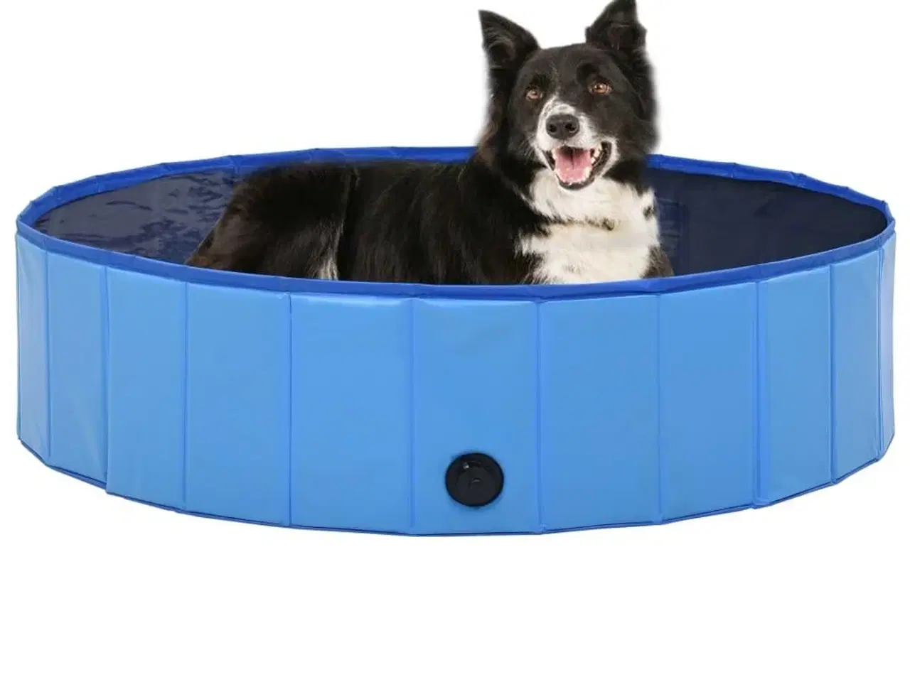 Billede 1 - Foldbart hundebassin 120 x 30 cm PVC blå