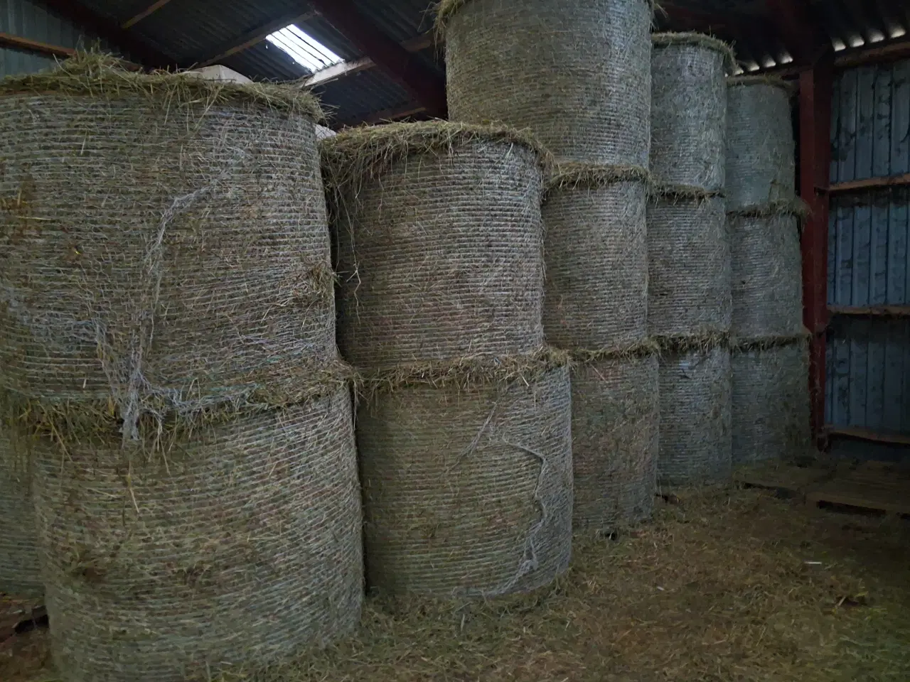 Billede 2 - Hø i Rundballer.
