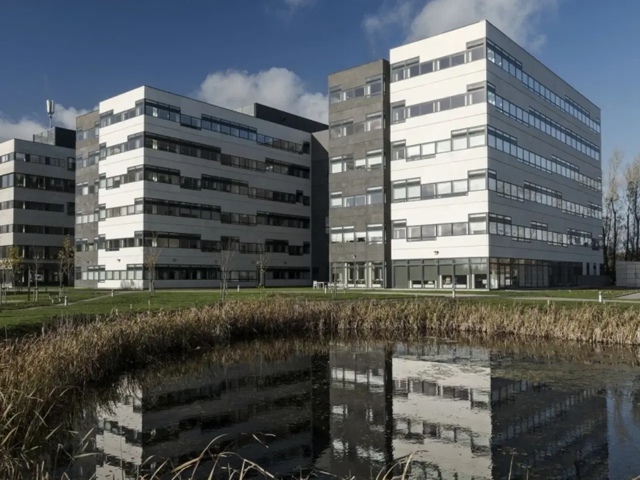 Billede 1 - I denne moderne flerbrugerejendom udbydes lyse og indbydende kontorlejemål i varierende størrelser der passer perfekt til virksomheder i alle størrelser