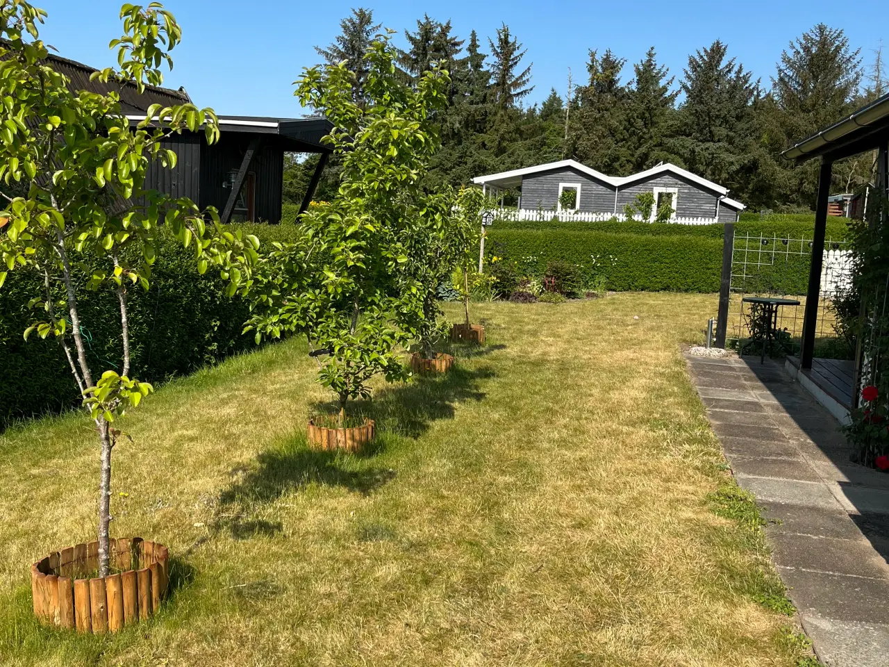 Billede 3 - 🌿 Kolonihave til salg i HF Granholt – Hadsten 🌿