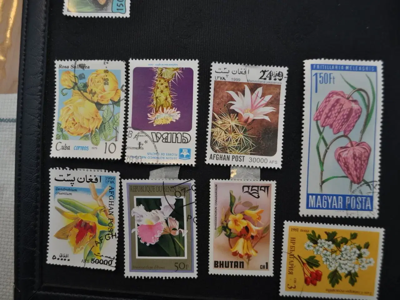 Billede 2 - Blomster 30 stk. + 1.500 ass. frimærker