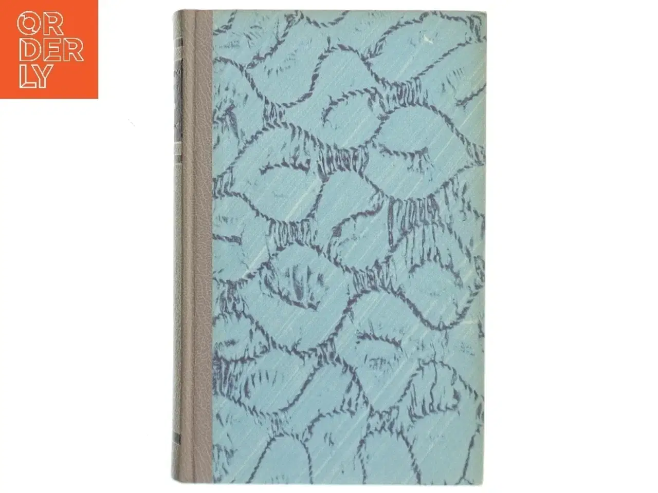 Billede 1 - Orkanen af Desmond Bagley (Bog)