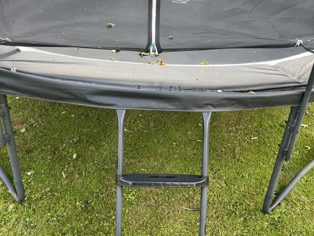 Billede 2 - Salta trampolin 427