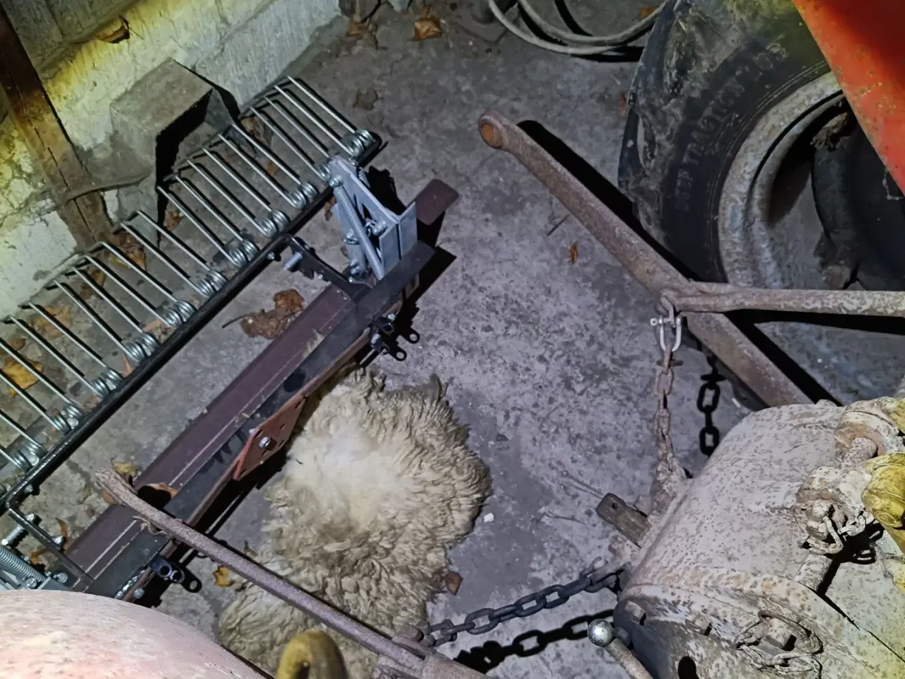 Billede 4 - Massey Ferguson 35 benzin