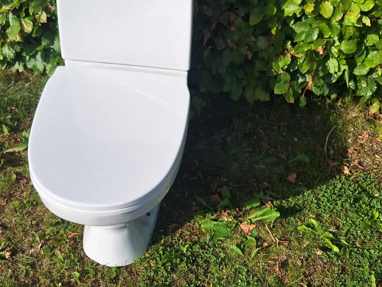 Billede 1 - Gustavsberg toilet 