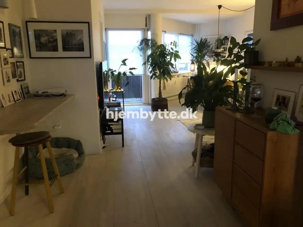 Billede 5 - Hjembytte - Østrigsgade