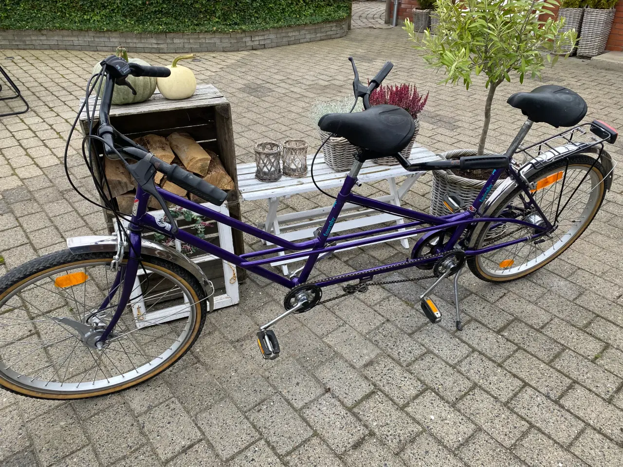 Billede 1 - Taarnby tandem