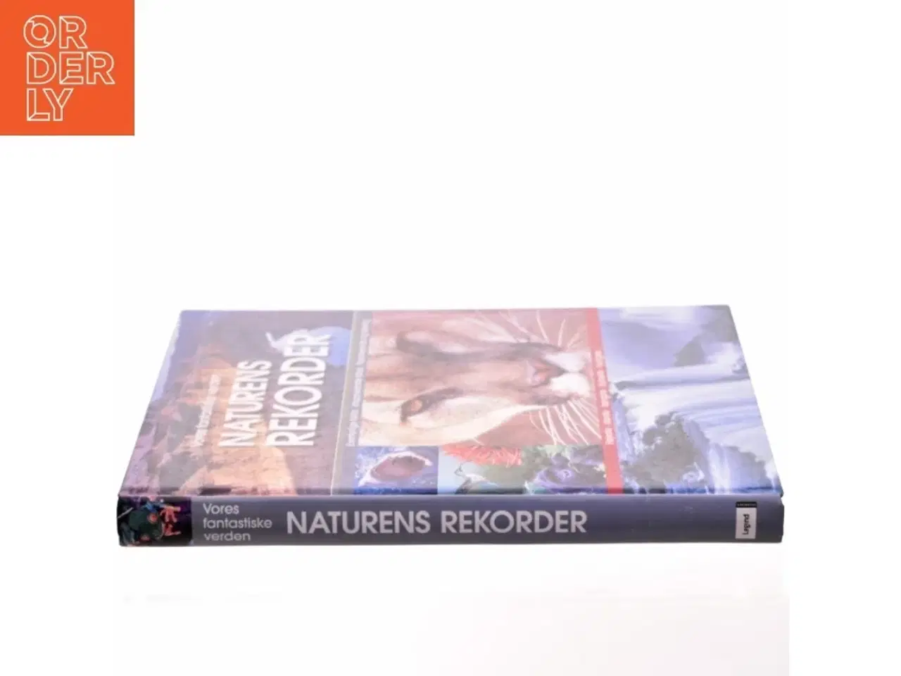 Billede 2 - Naturens rekorder : terra maxima : vores fantastiske verden (Bog)