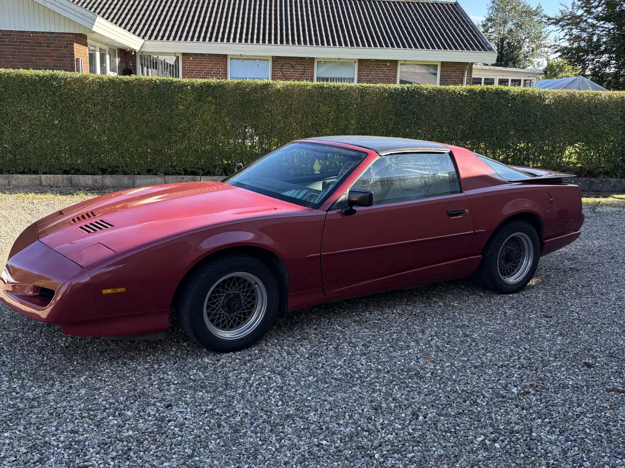 Billede 3 - Pontiac Trans Am Targa 5.0 V8