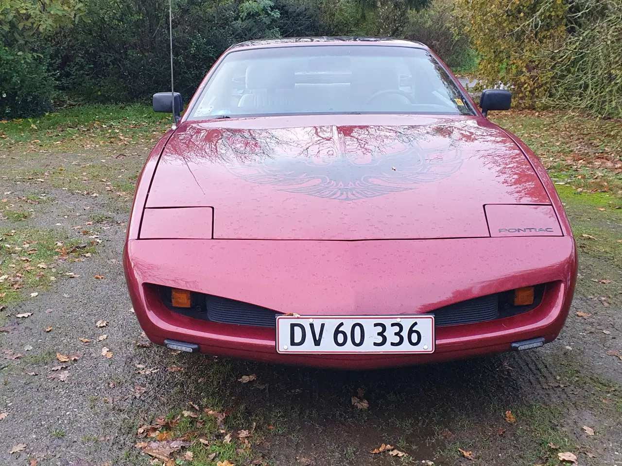 Billede 3 - Pontiac Trans Am Firebird