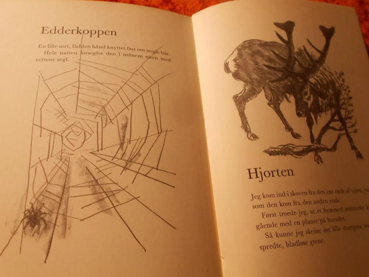 Billede 4 - Historier fra naturen, Jules Renard