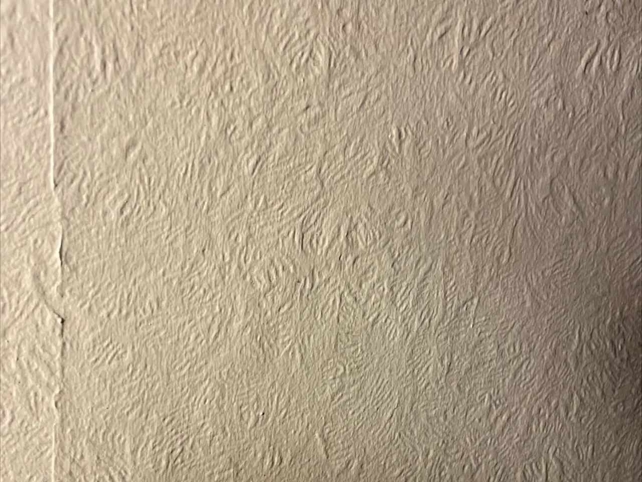 Billede 1 - Taranta dværgpapegøje