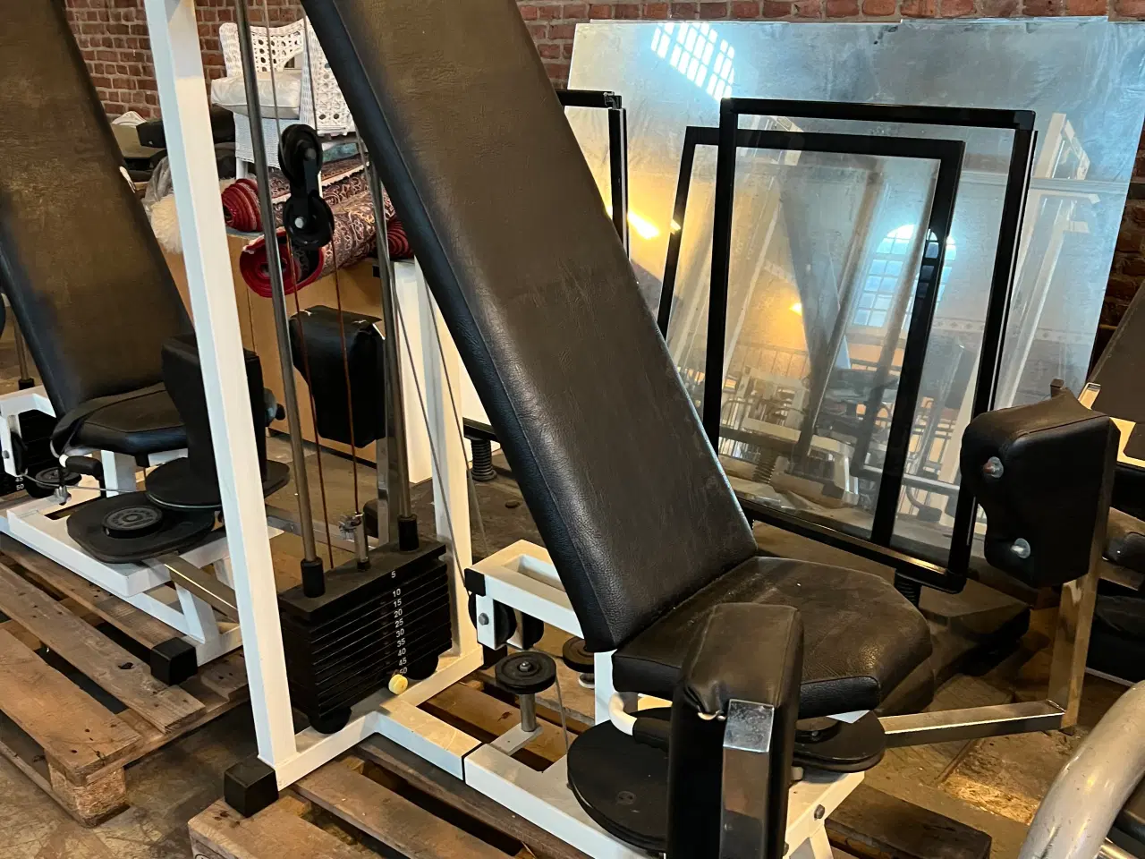 Billede 4 - 2 STK TECHNOGYM BEN BALLE MASKINER