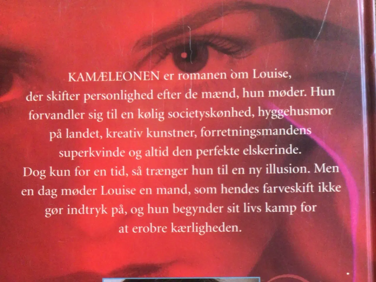 Billede 2 - Jane Aamund: Kamæleonen