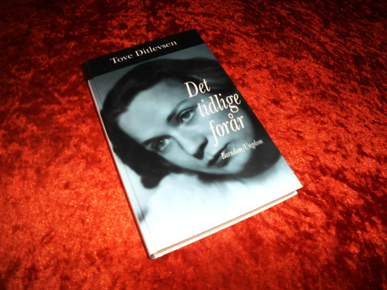 Billede 5 - Tove Ditlevsen,