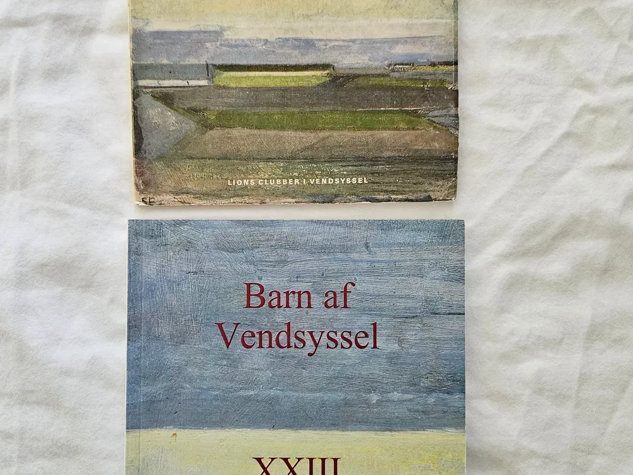 Billede 3 - Barn af Vendsyssel