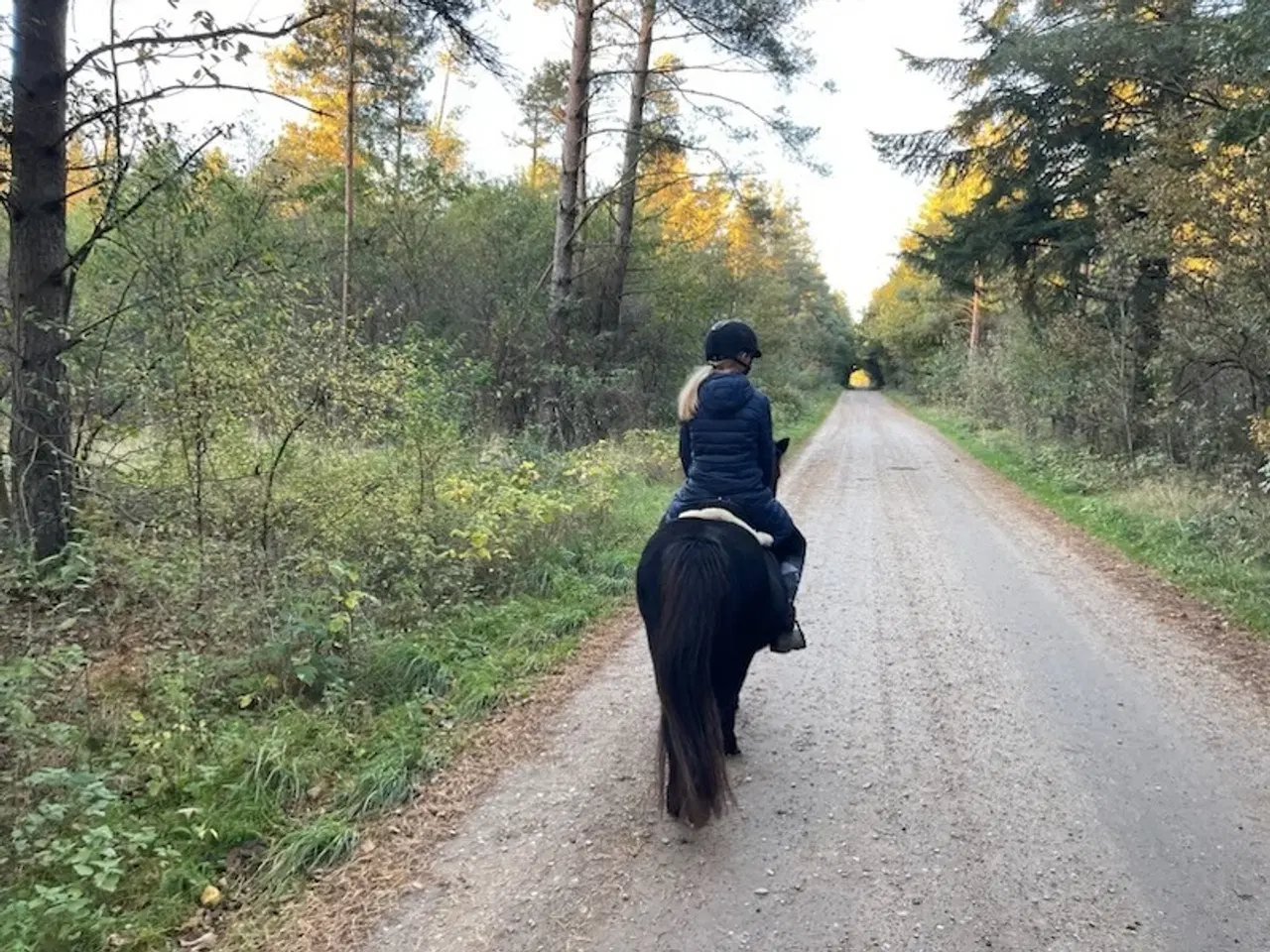 Billede 4 - Skøn turpony søger nyt hjem