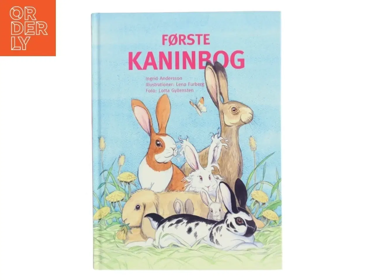 Billede 1 - Første kaninbog af Ingrid Andersson (Bog)