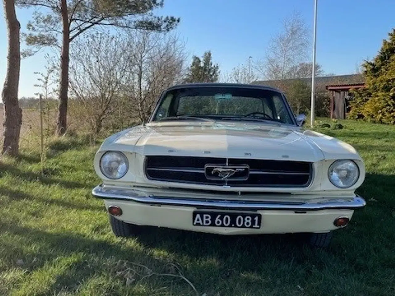 Billede 4 - Ford Mustang 1965