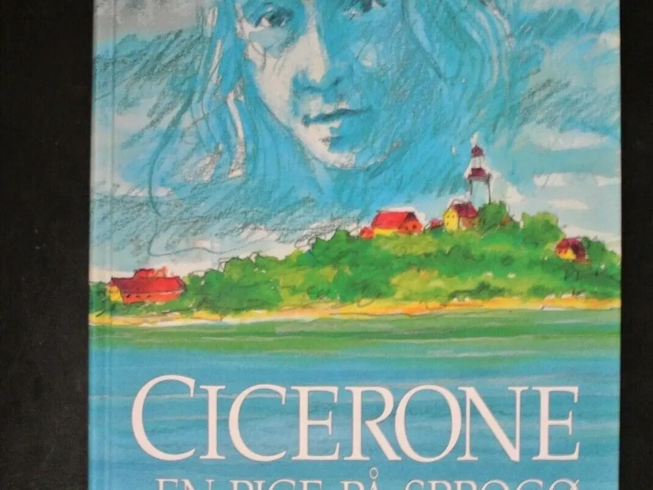 Billede 1 - cicerone - en pige på sprogø, af andreas p. nielse