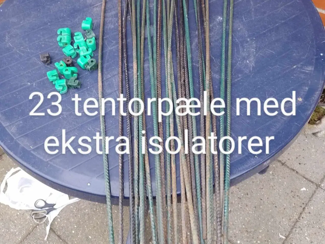 Billede 1 - Tentorpæle 23 stk med isolatorer