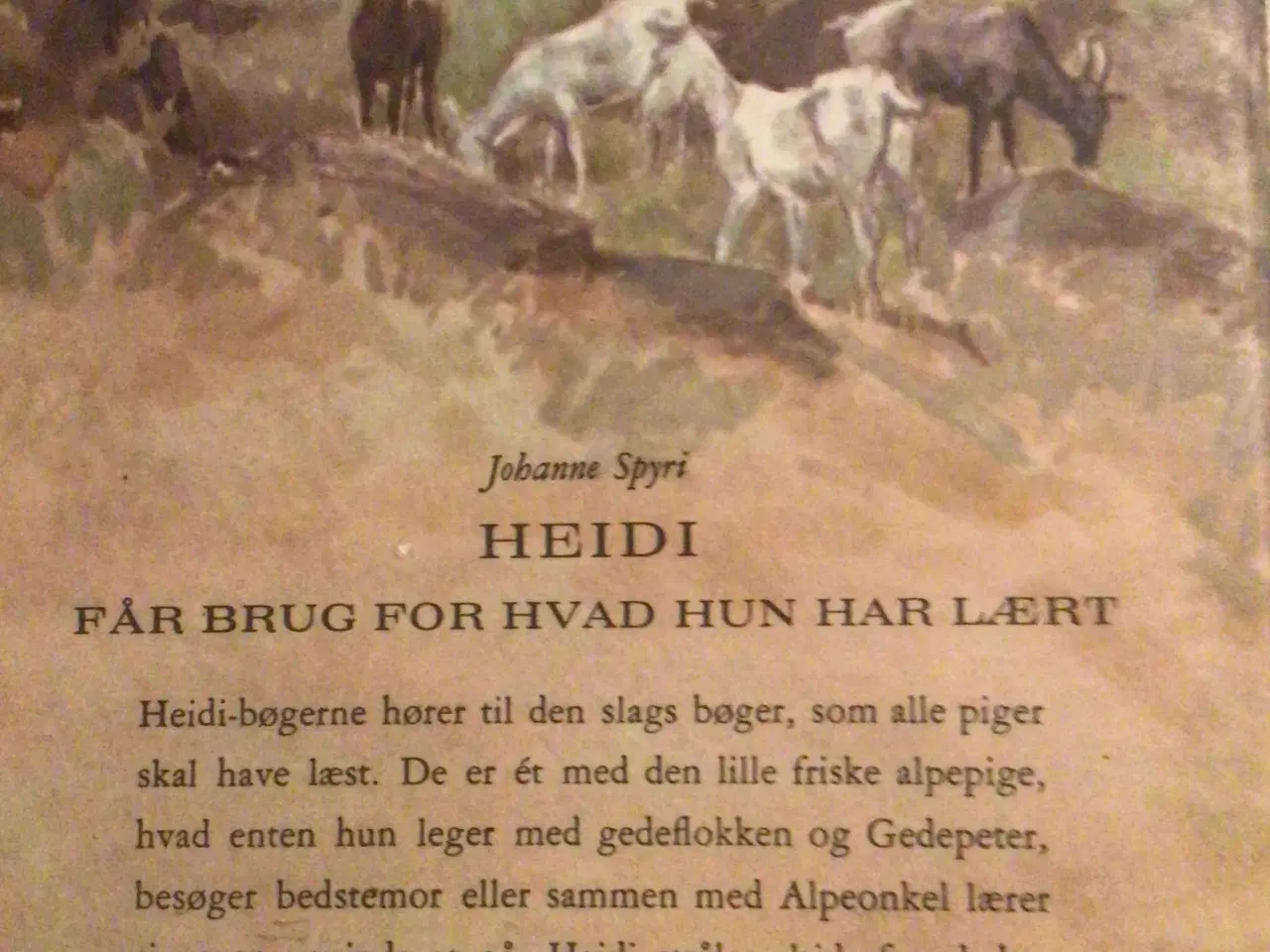 Billede 2 - Heidi får brug for hvad hun har lært. 