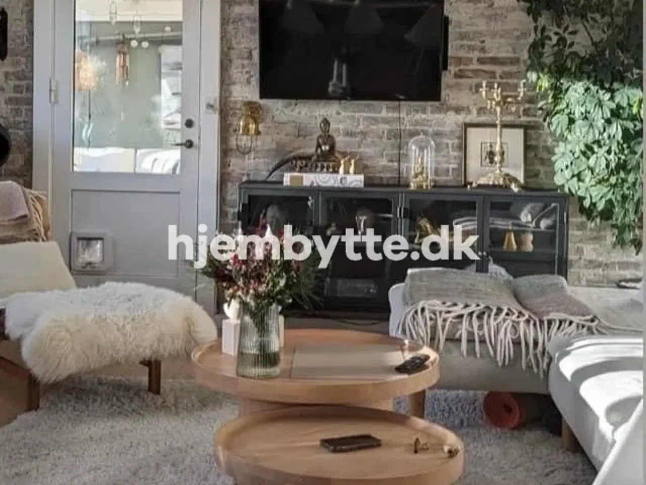 Billede 7 - Hjembytte - Agervang