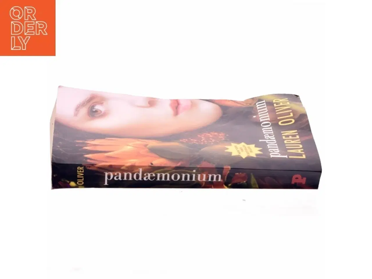 Billede 2 - Pandæmonium af Lauren Oliver (Bog)
