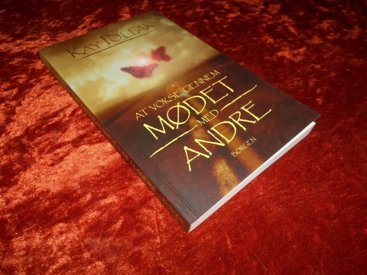Billede 1 - At vokse gennem mødet med andre, Kay Pollak